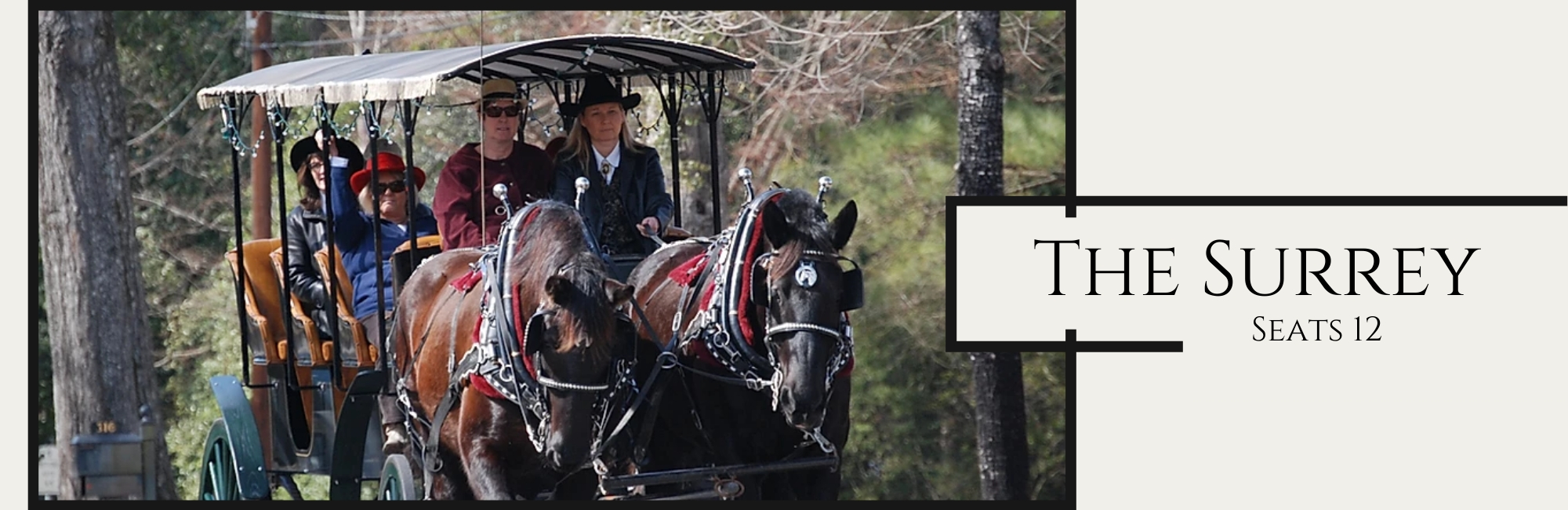 The Surrey horse drawn carriage